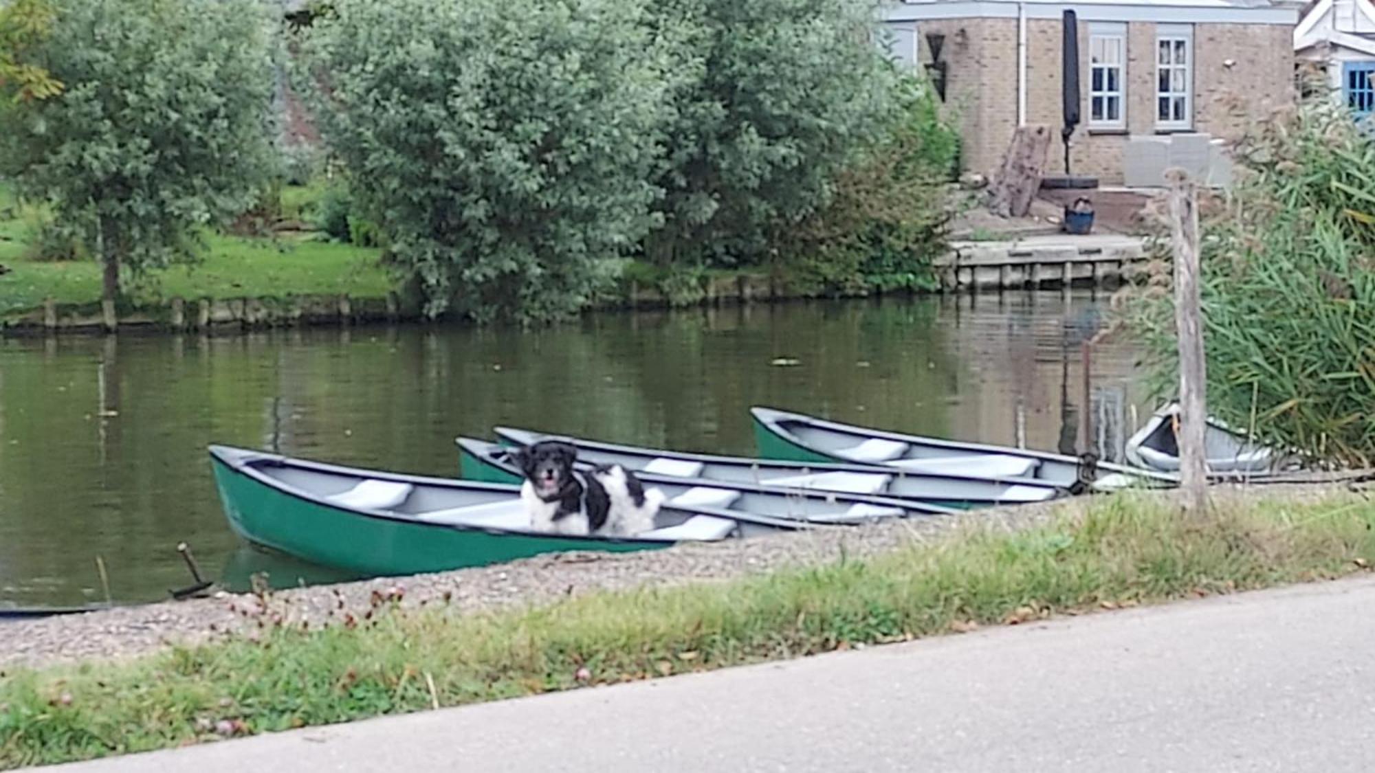 Buitenplaats Medemblik Eksteriør bilde
